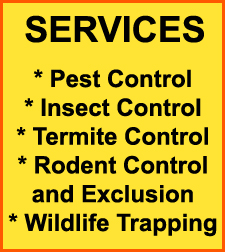 Rodent Control Pflugerville, Texas